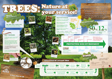 Tree poster- Forests: Nature at your service
