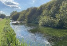Famous chalkstream rivers protected by continuous water quality monitors River Test - world famous chalk stream